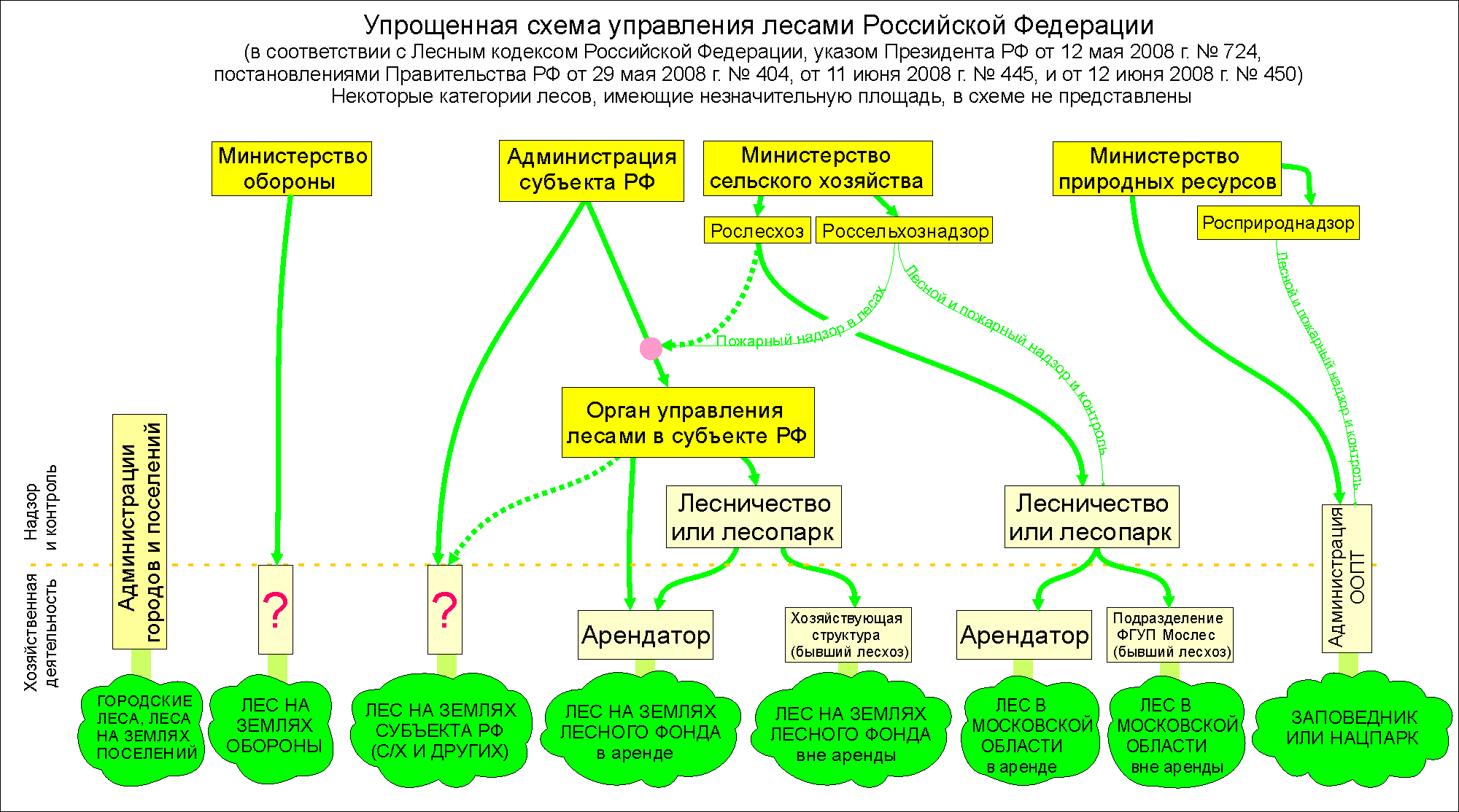 С июня 2008 года начала действовать упрощенная схема управления лесами  Российской Федерации | Новости